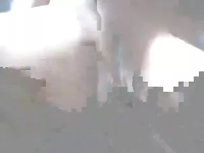પર્દાફાશ અને બદલો લેવામાં આવ્યો